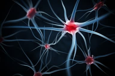 Certains neurones s'activent spécifiquement lors d'une crise d'angoisse